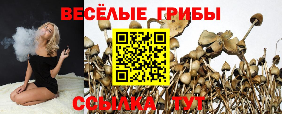 Псилоцибиновые грибы Cubensis  Галлюциногенные грибы Psilocybine cubensis  Бердск  Вход с VPN 