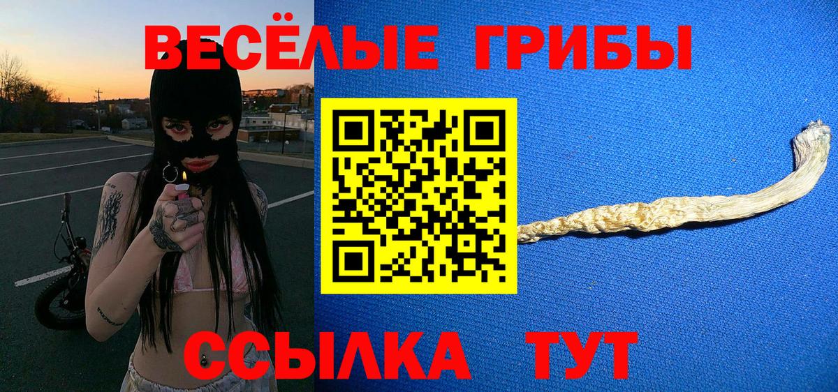 Галлюциногенные грибы MAGIC MUSHROOMS Бердск